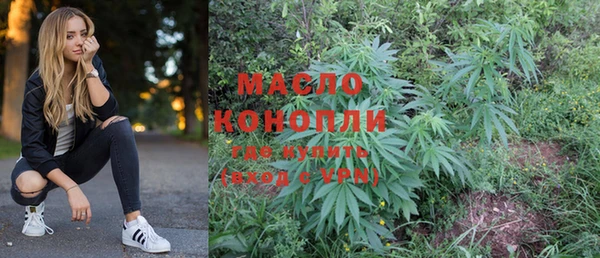 меф Ельня