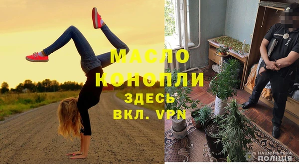 меф Ельня