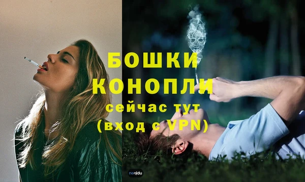 меф Ельня