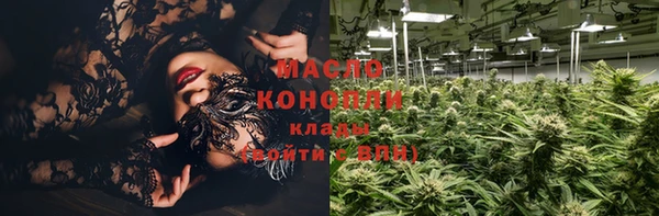 меф Ельня