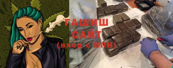 меф Ельня