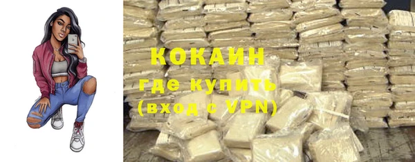 меф Ельня