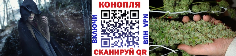 Купить где  Муром  Каннабис сатива 